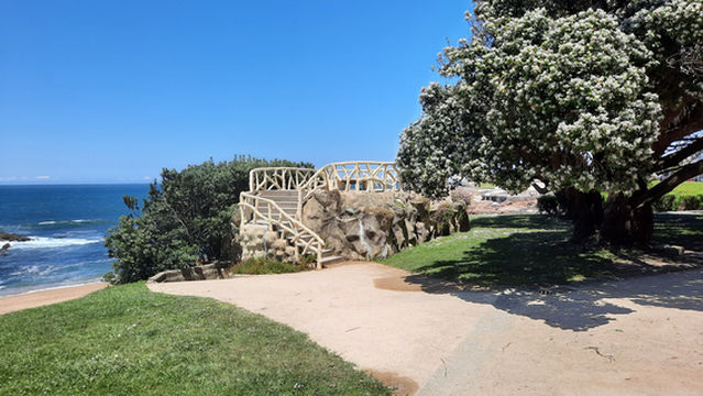 Miradouro da Praia do Homem do Leme