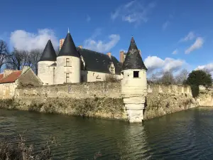 Château de Coussay