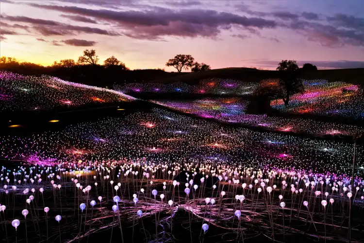 Courtyard By Marriott Hotels in Paso Robles