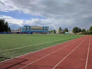 Football field - Stadium Orion