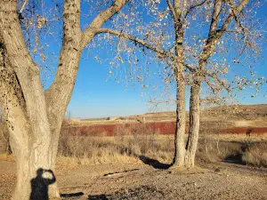 McClellan Creek National Grassland