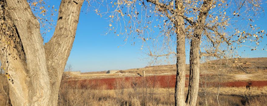 McClellan Creek National Grassland
