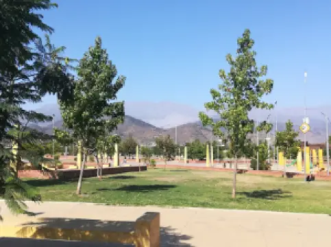 Main Square Melon