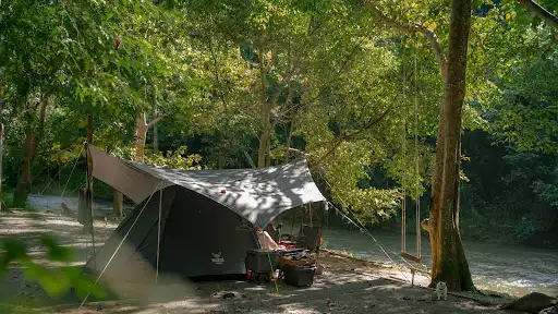 Rim Tara Camping