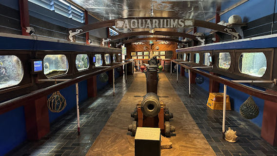 Marineland Melanesia - Crocodile Habitat & Gift Shop