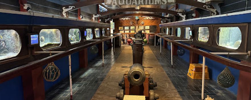 Marineland Melanesia - Crocodile Habitat & Gift Shop