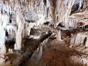 Jacob's Cave