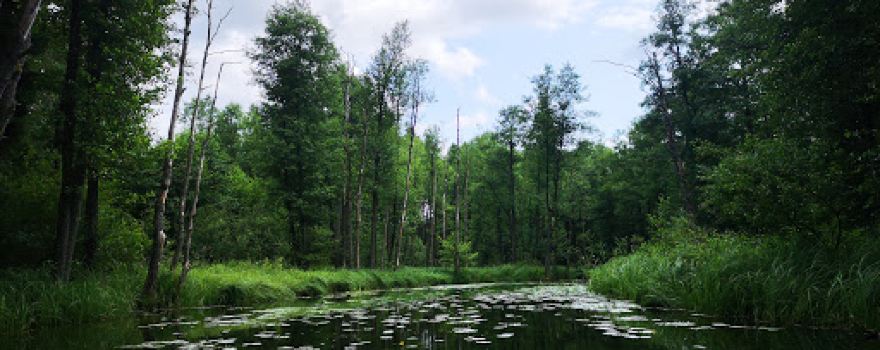 Kajaki Krutyń