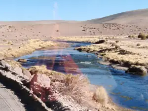 Las Vicuñas National Reserve