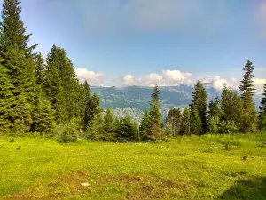 Trabzon Düzköy Doğa Kampı