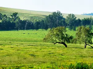 Midlands Meander Association Office