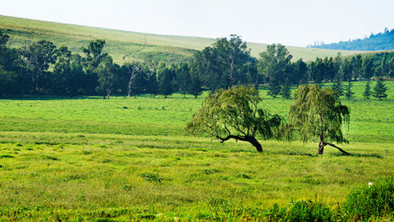 Midlands Meander Association Office