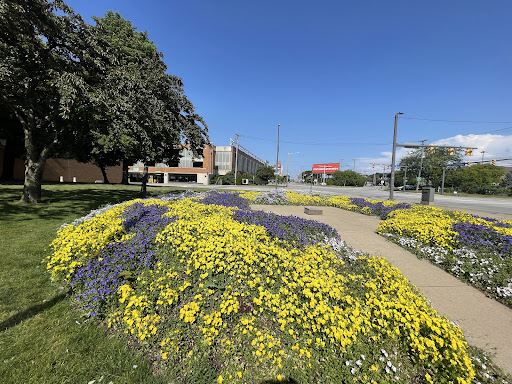 Wolstein Center