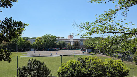 Кавасаки