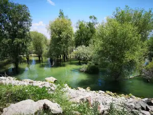 Yedikır Dam Picnic area