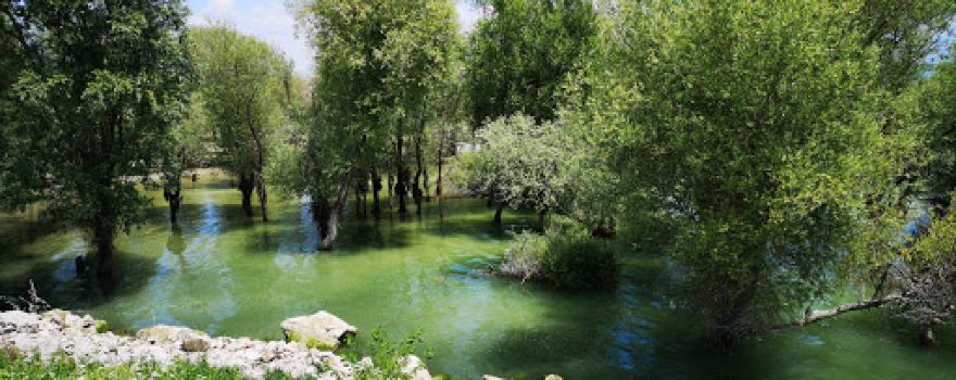 Yedikır Dam Picnic area