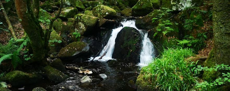 Arthog Waterfalls