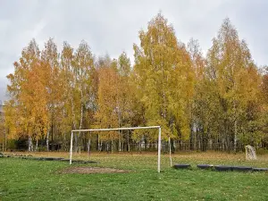 Stadium "Teplokontrol" named after Zeno