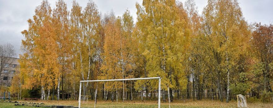 Стадион «Теплоконтроль» имени Г. Дзеня