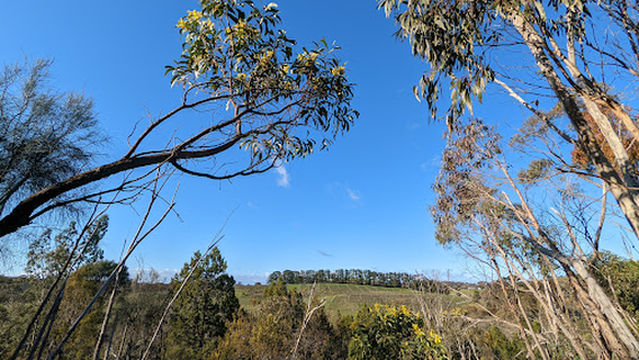 Neagles Rock Short Walk