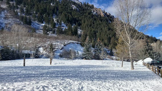 Aspen