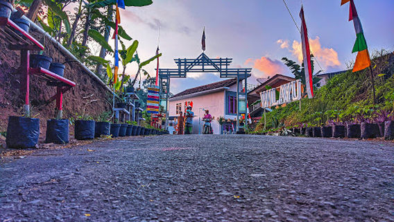 Desa Wisata Wilayu
