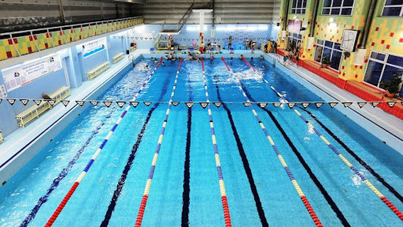 Dolphin swimming centre