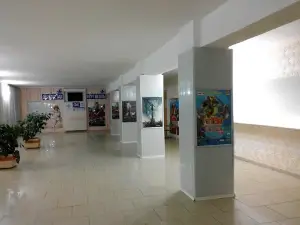 Кинотеатр "Вертикаль"