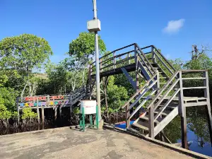wisata mangrove mekar jaya
