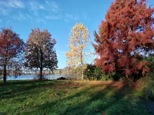 Lake and Park City Gaudu