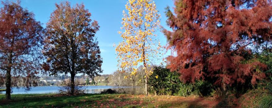 Lake and Park City Gaudu