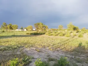 Bogara