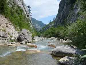 Sutjeska