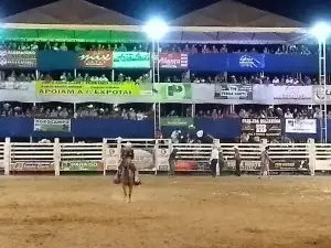 Exhibition Park Texas Rodeo