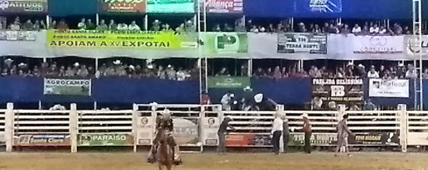 Exhibition Park Texas Rodeo