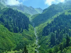 Görgit Yaylası