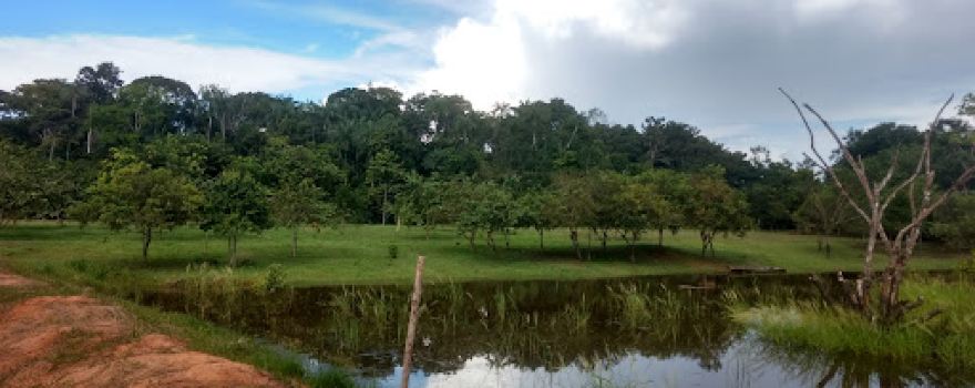 Balneário Natureza