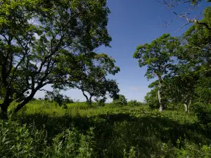 Tomakonai City Utonai Green Land