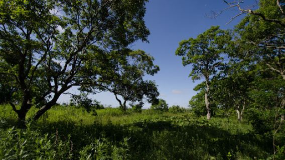 Tomakonai City Utonai Green Land