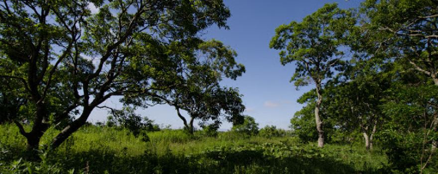 Tomakonai City Utonai Green Land