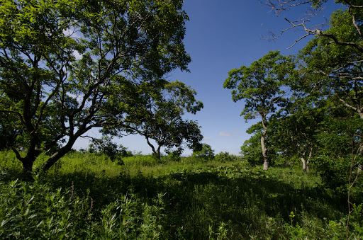 Tomakonai City Utonai Green Land