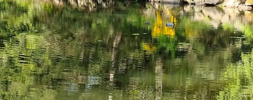 Lake Sawyer Regional Park