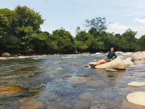 Charco el silencio