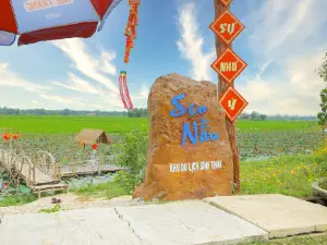 Sen Nẫu Phú Phong Tây Sơn