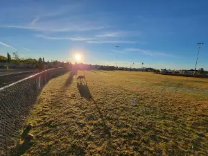 Golden Eagle Park