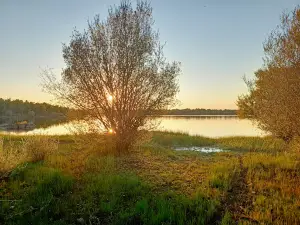 Embalse de los Molinos
