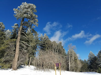 Cathey canyon