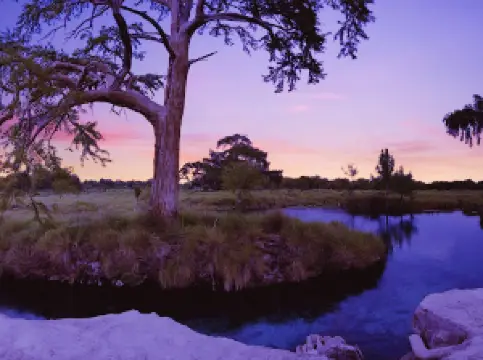 Manantial Los Peroles