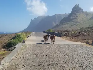 Fragata