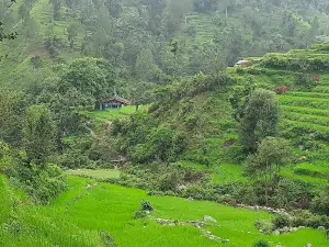 Dadmeta samaiji temple